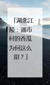 湖北江陵：潘市村的香瓜为何这么甜？