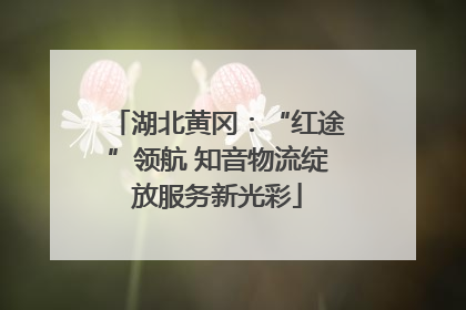 湖北黄冈：“红途”领航 知音物流绽放服务新光彩