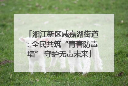湘江新区咸嘉湖街道：全民共筑“青春防毒墙” 守护无毒未来