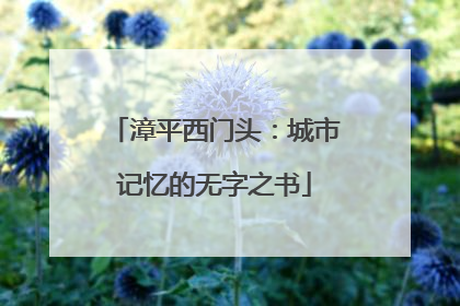 漳平西门头：城市记忆的无字之书