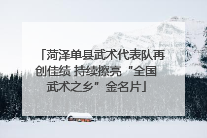 菏泽单县武术代表队再创佳绩 持续擦亮“全国武术之乡”金名片