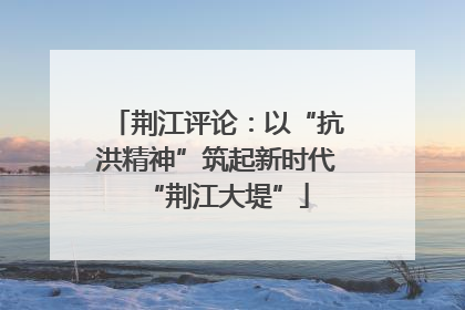 荆江评论：以“抗洪精神”筑起新时代“荆江大堤”