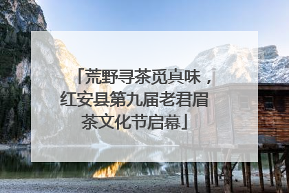 荒野寻茶觅真味，红安县第九届老君眉茶文化节启幕