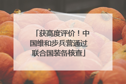 获高度评价！中国维和步兵营通过联合国装备核查