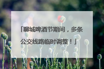 聊城啤酒节期间，多条公交线路临时调整！