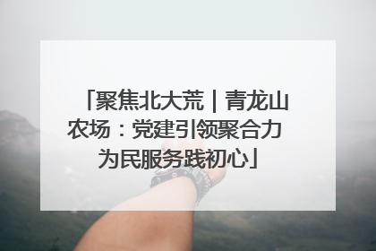聚焦北大荒｜青龙山农场：党建引领聚合力 为民服务践初心
