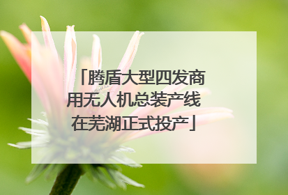 腾盾大型四发商用无人机总装产线在芜湖正式投产