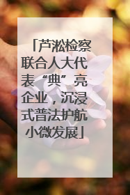 芦淞检察联合人大代表“典”亮企业，沉浸式普法护航小微发展