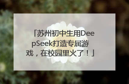 苏州初中生用DeepSeek打造专属游戏，在校园里火了！