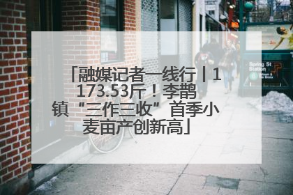 融媒记者一线行丨1173.53斤！李鹊镇“三作三收”首季小麦亩产创新高