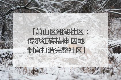 萧山区湘湖社区：传承红砖精神 因地制宜打造完整社区