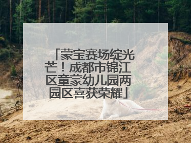 蒙宝赛场绽光芒！成都市锦江区童蒙幼儿园两园区喜获荣耀
