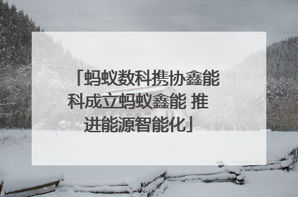 蚂蚁数科携协鑫能科成立蚂蚁鑫能 推进能源智能化