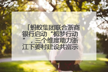蚂蚁集团联合浙商银行启动“栀梦行动”，三个维度助力浙江下姜村建设共富示范区示范点