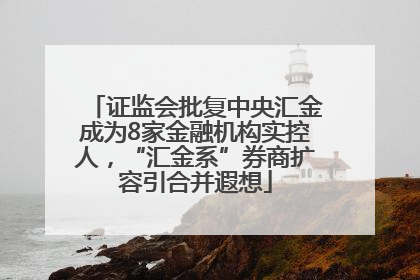 证监会批复中央汇金成为8家金融机构实控人，“汇金系”券商扩容引合并遐想