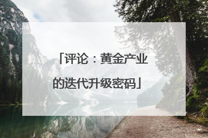 评论：黄金产业的迭代升级密码