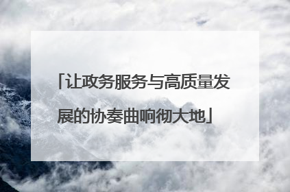 让政务服务与高质量发展的协奏曲响彻大地