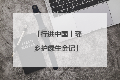 行进中国丨瑶乡护绿生金记