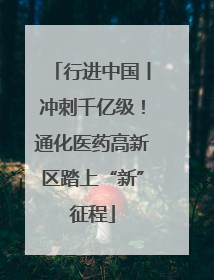 行进中国丨冲刺千亿级！通化医药高新区踏上“新”征程