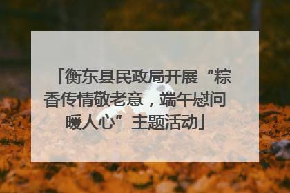 衡东县民政局开展“粽香传情敬老意，端午慰问暖人心”主题活动