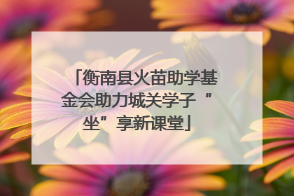 衡南县火苗助学基金会助力城关学子“坐”享新课堂