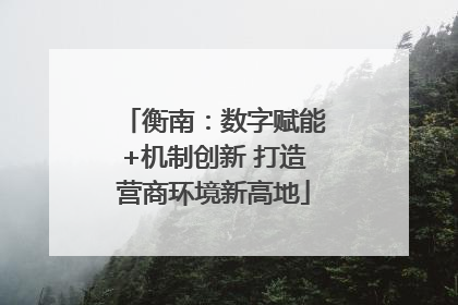 衡南：数字赋能+机制创新 打造营商环境新高地
