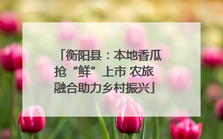 衡阳县：本地香瓜抢“鲜”上市 农旅融合助力乡村振兴