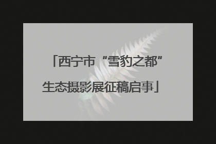 西宁市“雪豹之都”生态摄影展征稿启事