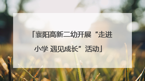 襄阳高新二幼开展“走进小学 遇见成长”活动