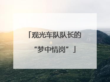 观光车队队长的“梦中情岗”