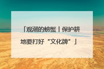 观潮的螃蟹丨保护耕地要打好“文化牌”