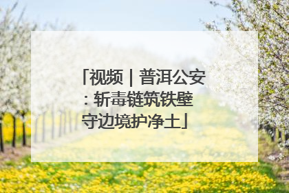 视频｜普洱公安：斩毒链筑铁壁 守边境护净土