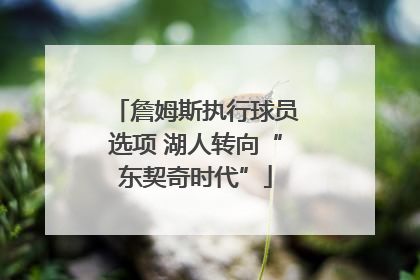 詹姆斯执行球员选项 湖人转向“东契奇时代”