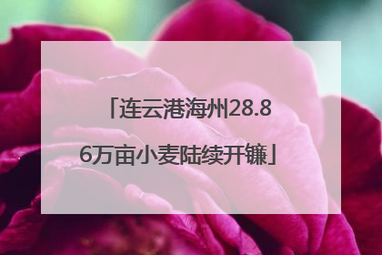 连云港海州28.86万亩小麦陆续开镰