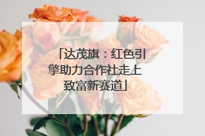 达茂旗：红色引擎助力合作社走上致富新赛道