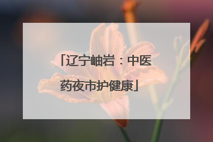 辽宁岫岩：中医药夜市护健康