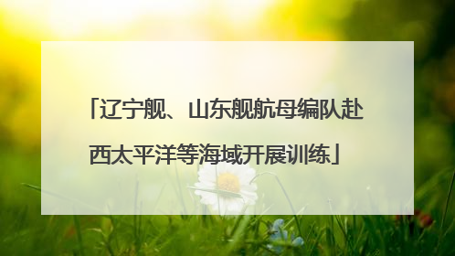 辽宁舰、山东舰航母编队赴西太平洋等海域开展训练
