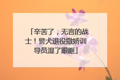 辛苦了，无言的战士！警犬退役撒娇训导员湿了眼眶