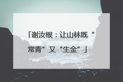 谢汝根：让山林既“常青”又“生金”