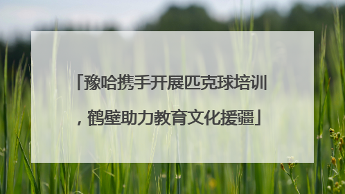 豫哈携手开展匹克球培训，鹤壁助力教育文化援疆
