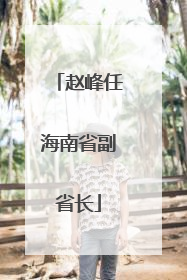 赵峰任海南省副省长