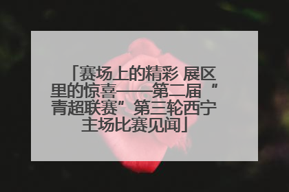 赛场上的精彩 展区里的惊喜——第二届“青超联赛”第三轮西宁主场比赛见闻