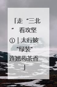 走“三北” 看攻坚①｜太行披“绿装” 连翘药茶香