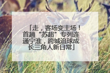 走，客场变主场！首趟“苏超”专列连通宁淮，跨城追球成长三角人新日常