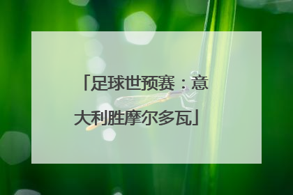足球世预赛：意大利胜摩尔多瓦