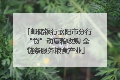 邮储银行襄阳市分行“贷”动夏粮收购 全链条服务粮食产业