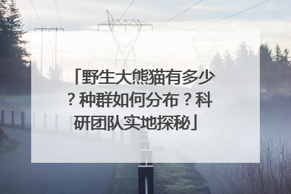 野生大熊猫有多少？种群如何分布？科研团队实地探秘
