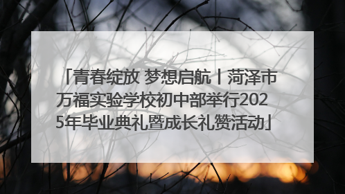 青春绽放 梦想启航丨菏泽市万福实验学校初中部举行2025年毕业典礼暨成长礼赞活动