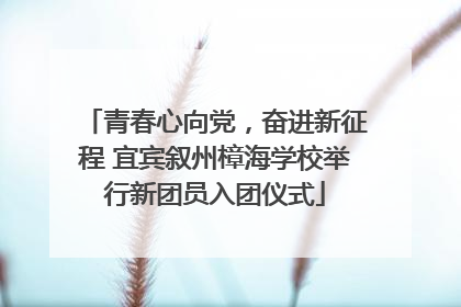 青春心向党，奋进新征程 宜宾叙州樟海学校举行新团员入团仪式