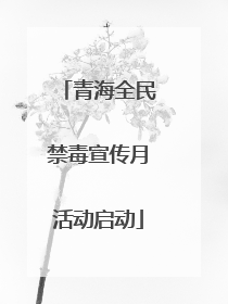 青海全民禁毒宣传月活动启动